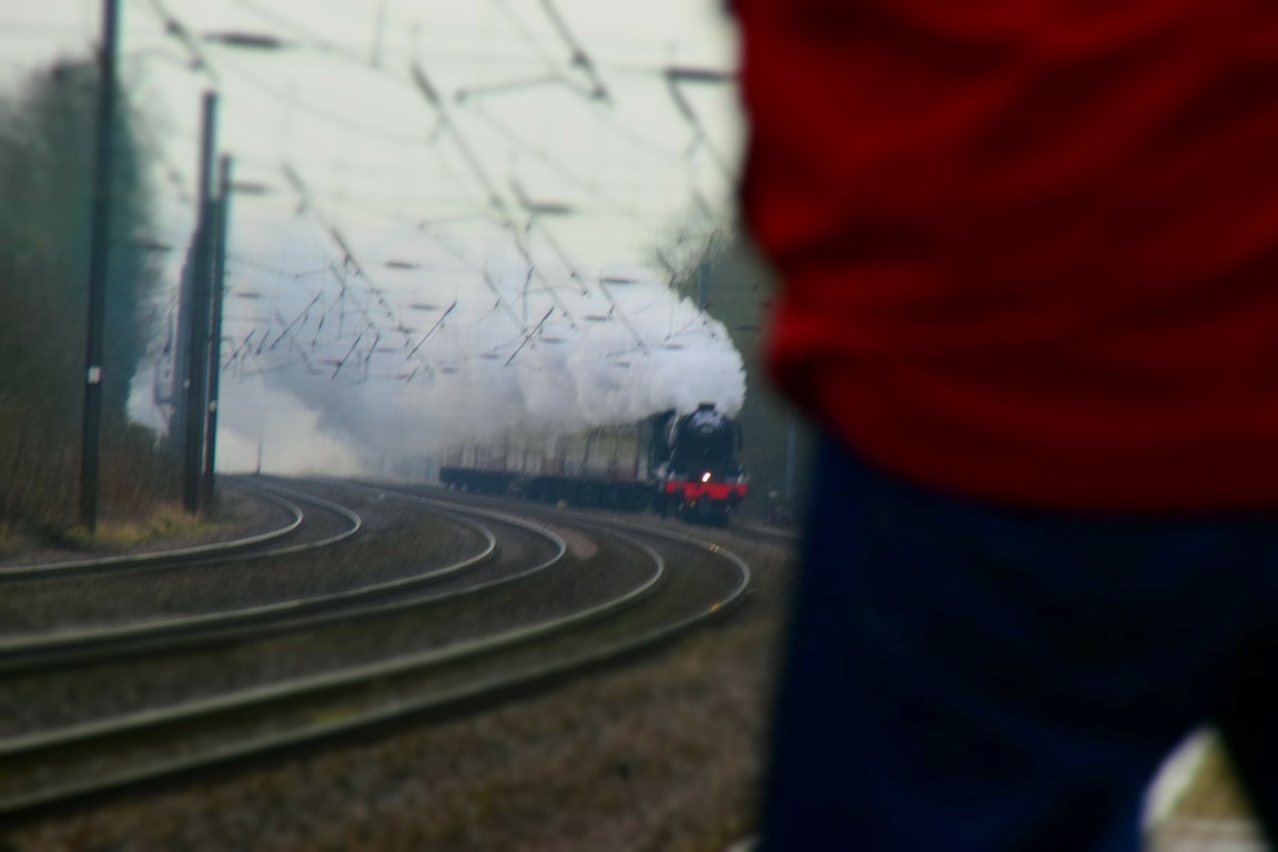 DSC_0033 (Medium).JPG