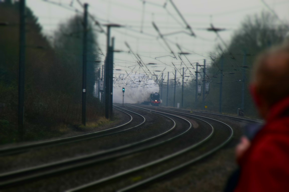 DSC_0032 (Medium).JPG