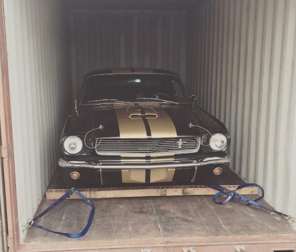Shelby container.jpg