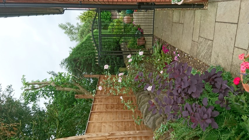 J055 16 SURVEY (1) (Small).JPG