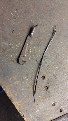 20170225_110859a.jpg