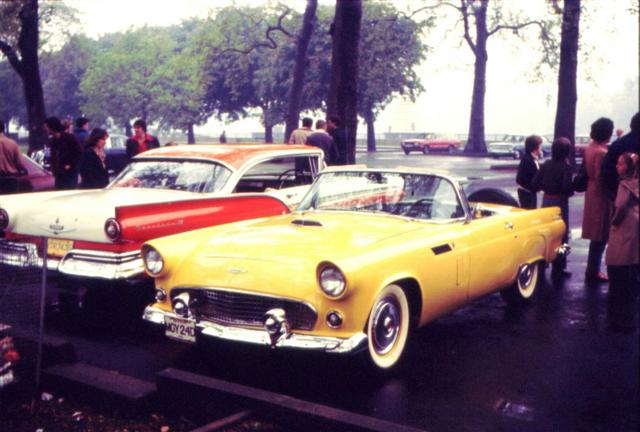 Yellow T Bird (Small).jpg