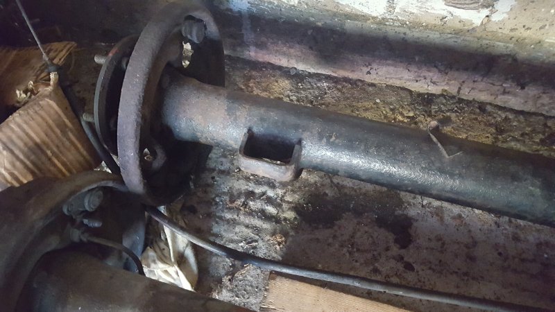 20180505_150625.jpg