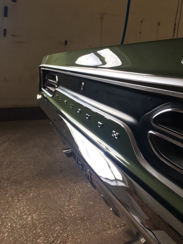 WhatsApp Image 2018-08-13 at 08.56.48.jpeg