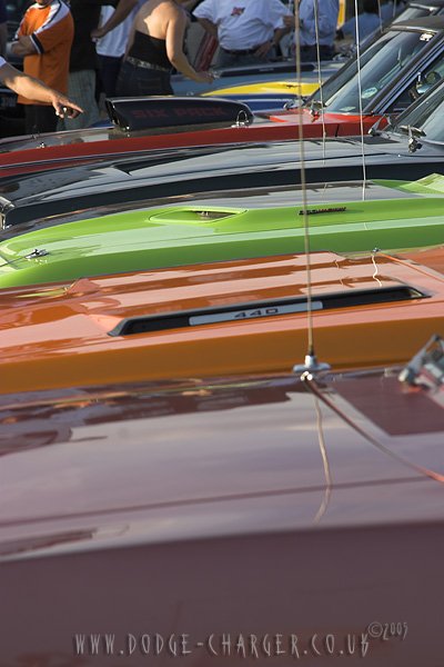 _mg_6431-01_200 - Copy.jpg