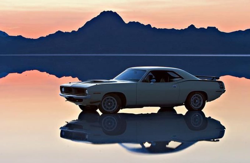 Cuda 2.jpg