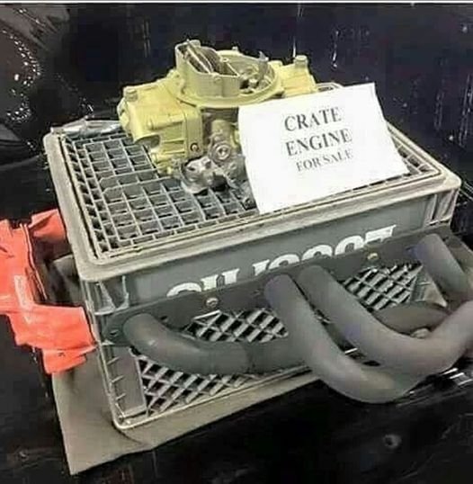 .jpg