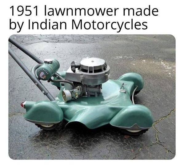 1689620623546.jpeg