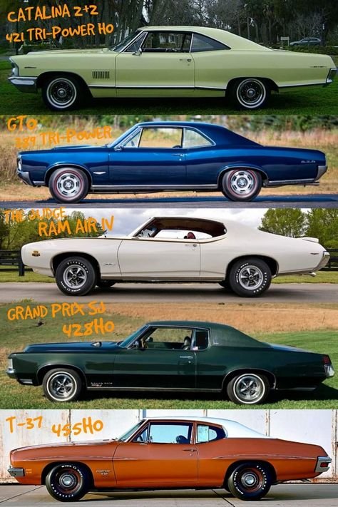 6cb6336dd6ee67ec34f13df8a504f50f.jpg