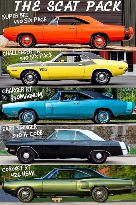 652567e2d6fdf77aa7d4448236d964f8.jpg