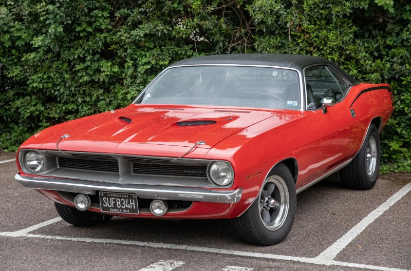 Cuda at Royston 2024.jpg