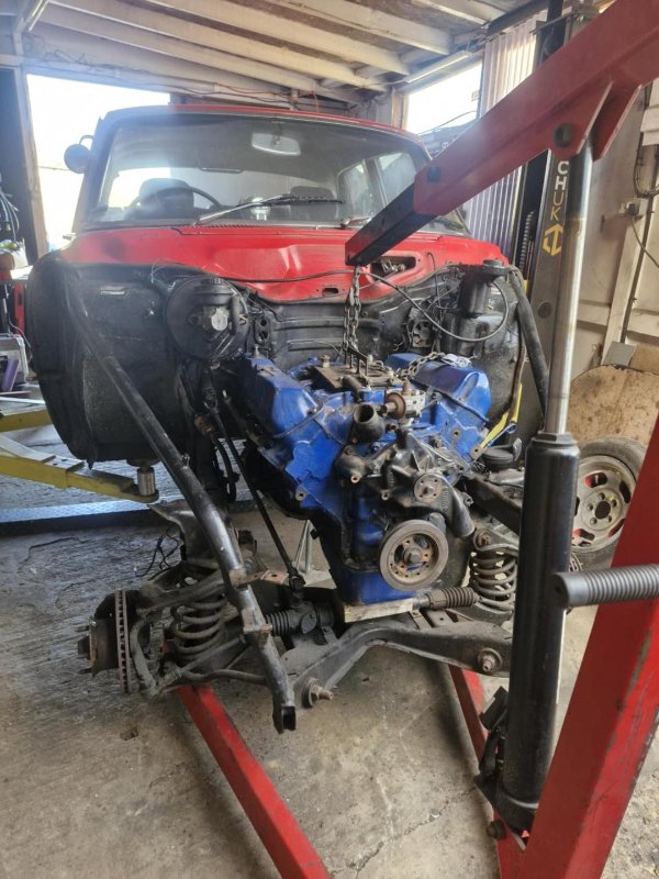 hanging in there.jpeg