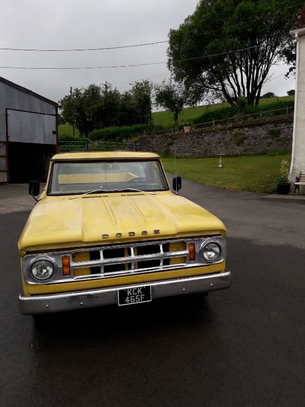 dodge28.jpg