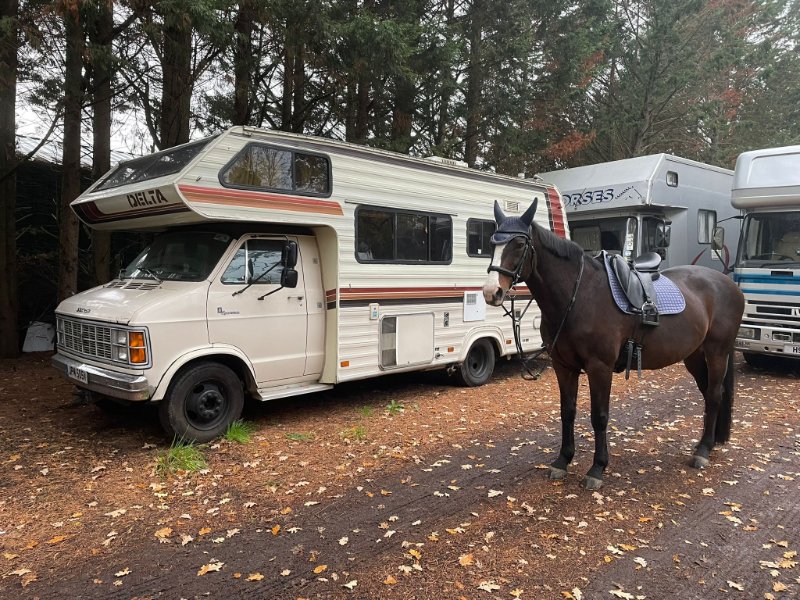 WhatsApp Image 2026-02-05 at 22.36.11.jpeg