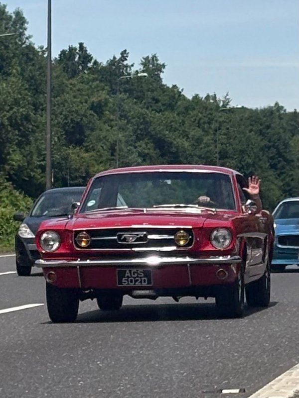 723015059_1484651793403862_5445912060740962656_n.jpg