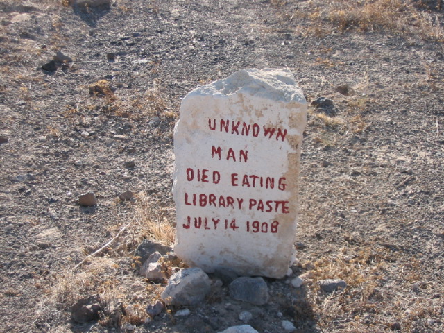 13296830.jpg