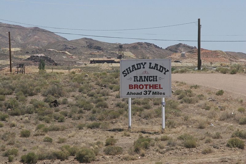 525477.jpg