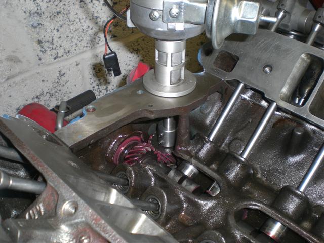 CIMG7523 (Small).JPG