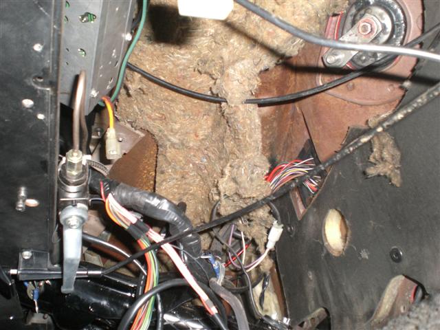 See what a mess the insulation is in