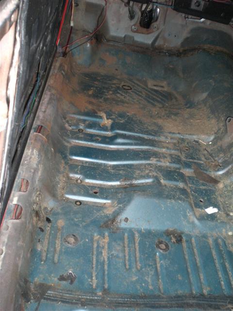 CIMG8563 (Small).JPG