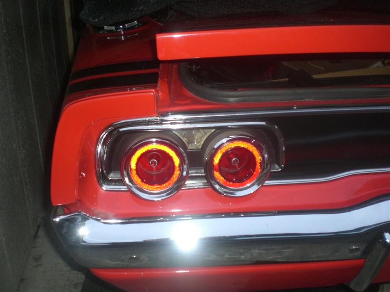 CIMG8645 (Medium).JPG