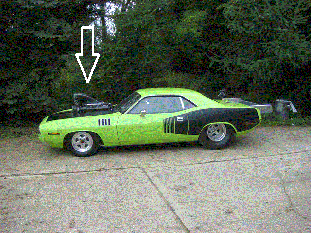 Cuda-%20Paint%205-10th%20Sept'08-b.gif