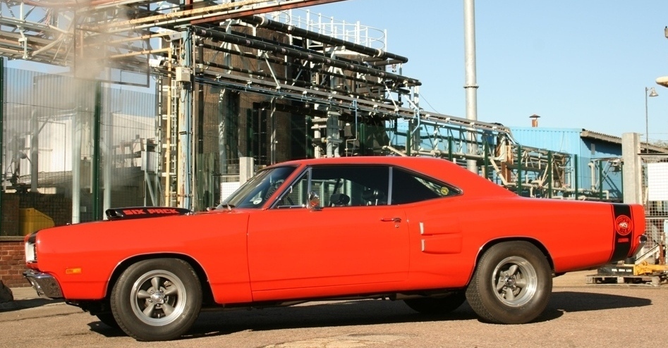 CA bee 3.jpg