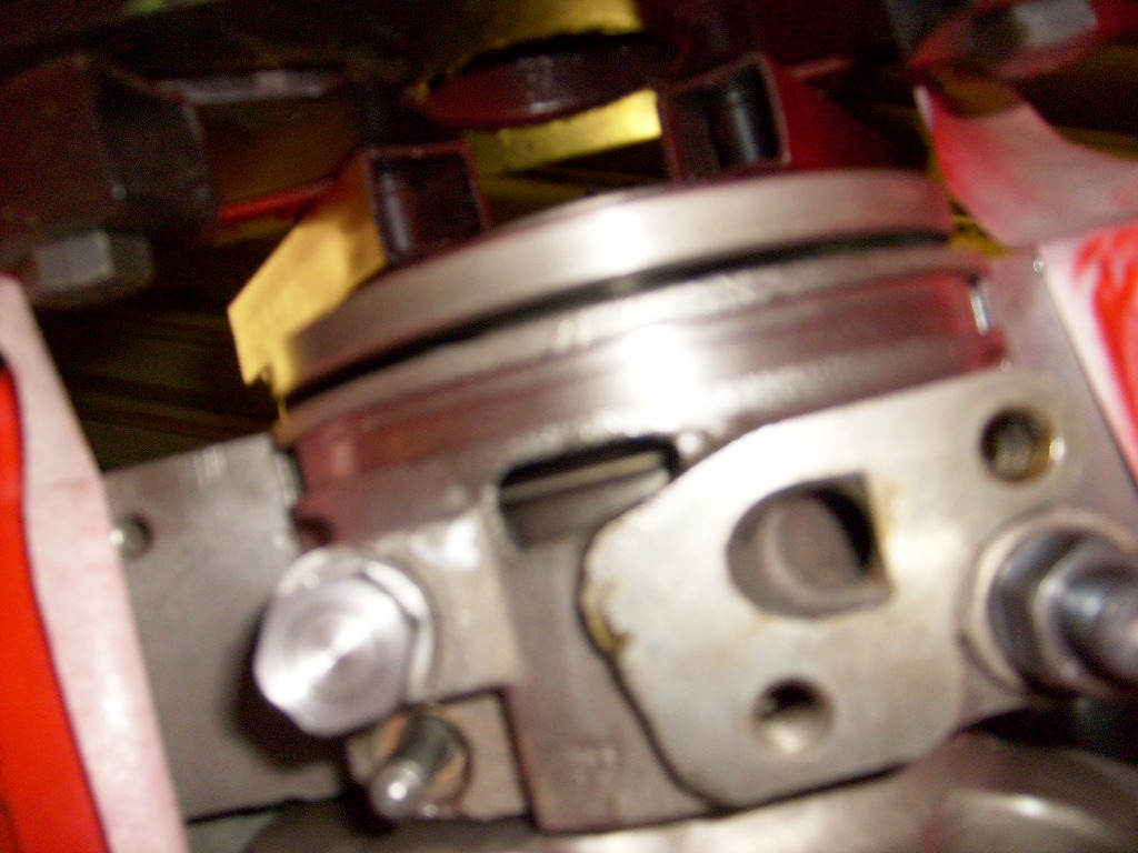 S6304496.JPG
