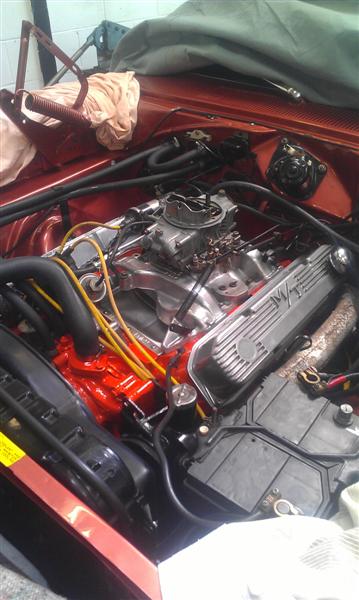 IMAG0717 (Medium).jpg