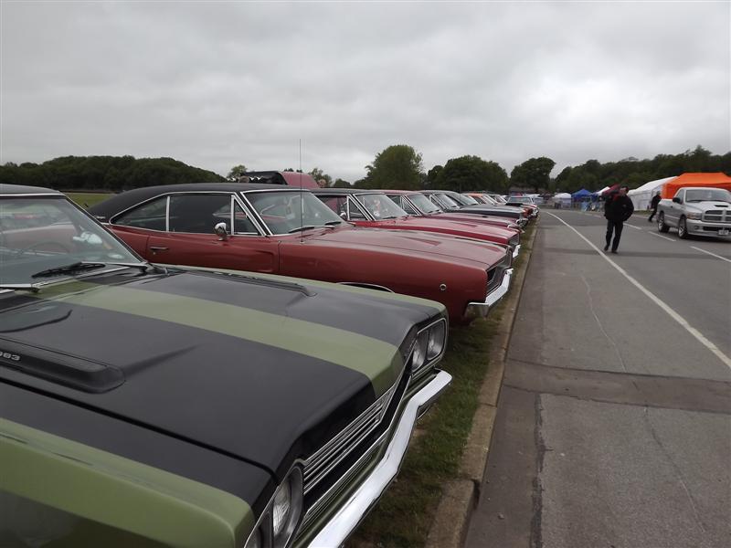 DSCF8345 (Medium).JPG