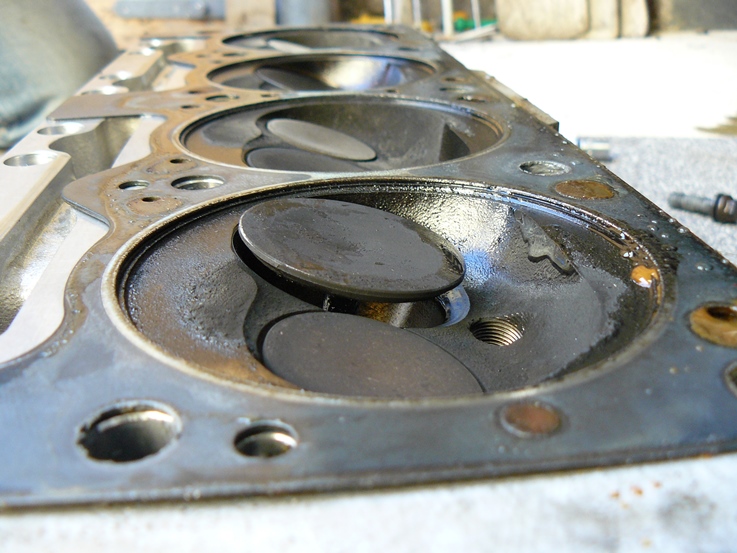 2013 July. The Nats. Bent valve.jpg