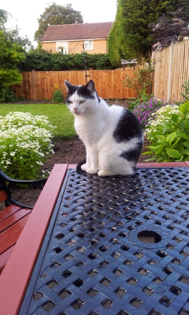 20130705_203346.jpg