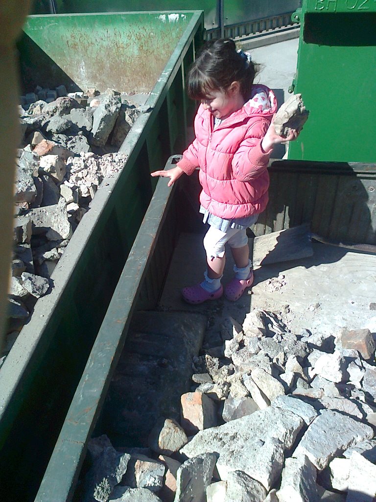 Willow working hard.jpg