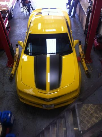 IMG_2354 (Small).jpg