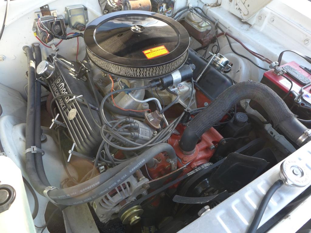 P1020690s.jpg