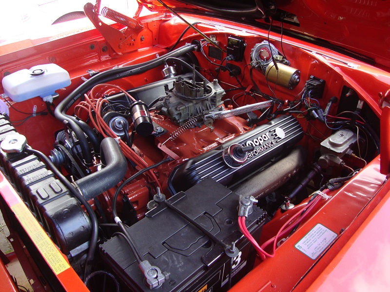 DSC08810.JPG