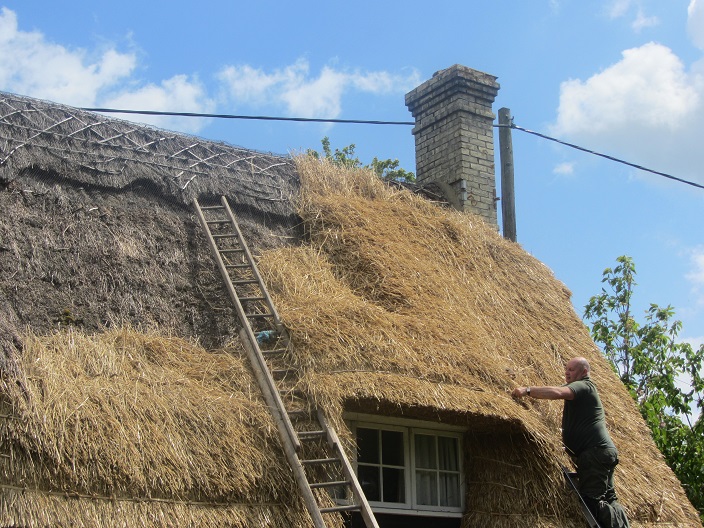 Packing the eyebrow.JPG