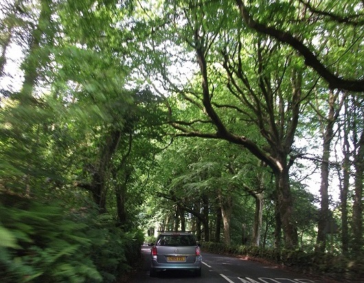 Countryside and everything....