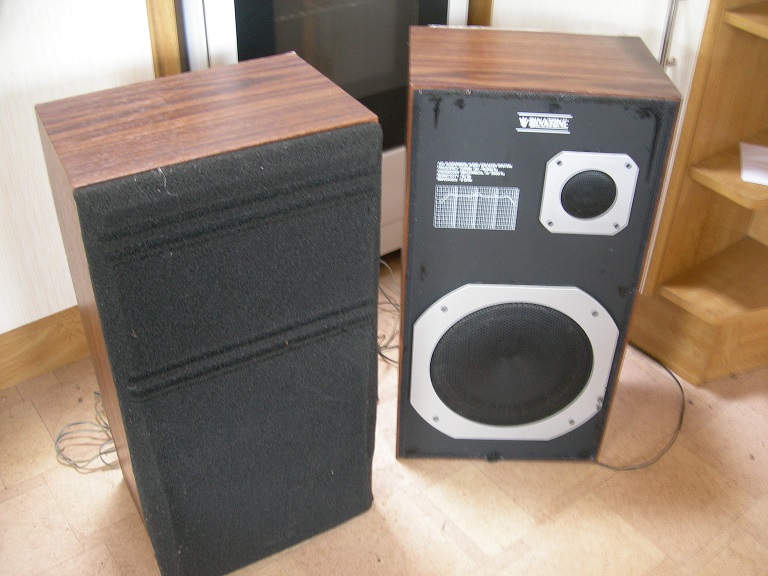 DSCN9565.JPG