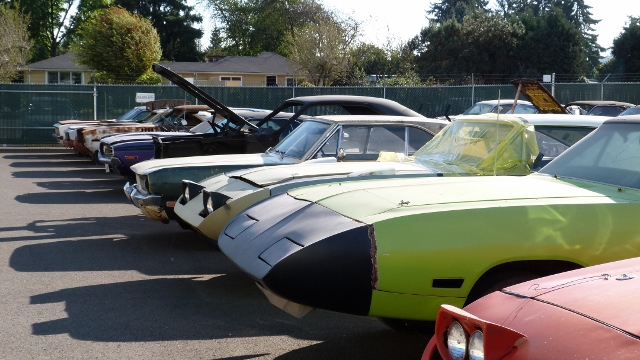 4 birds noses (640x360).jpg