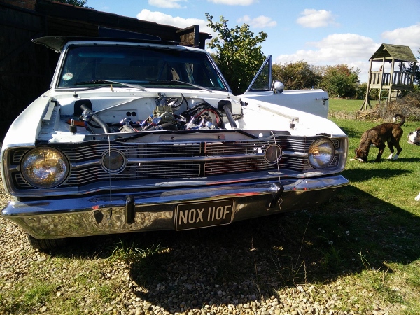 12 frosties dart (600x450).jpg