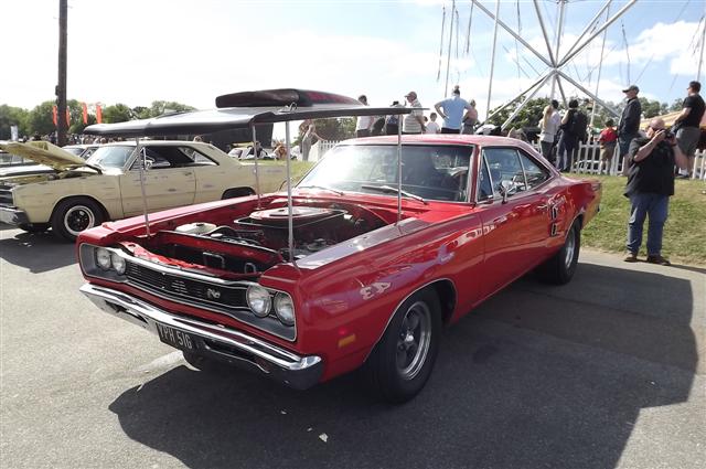 DSCF5991 (Small).JPG