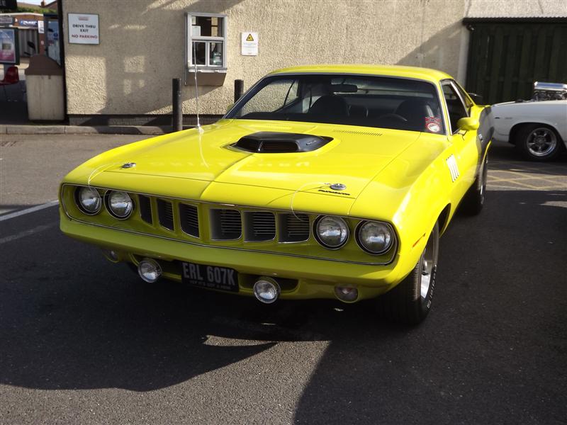 DSCF8546 (Medium).JPG