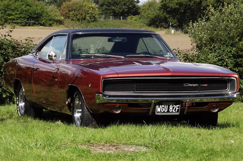 DSCF7750 (Medium).JPG