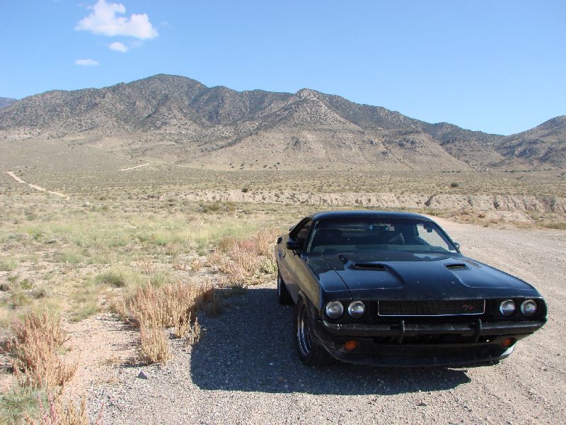 220241_496813107005003_1874129287_o R.jpg