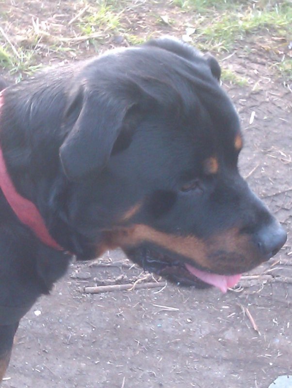 IMAG0855.jpg