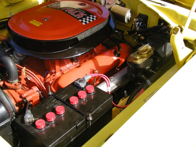 S-BeeJune2004034.jpg