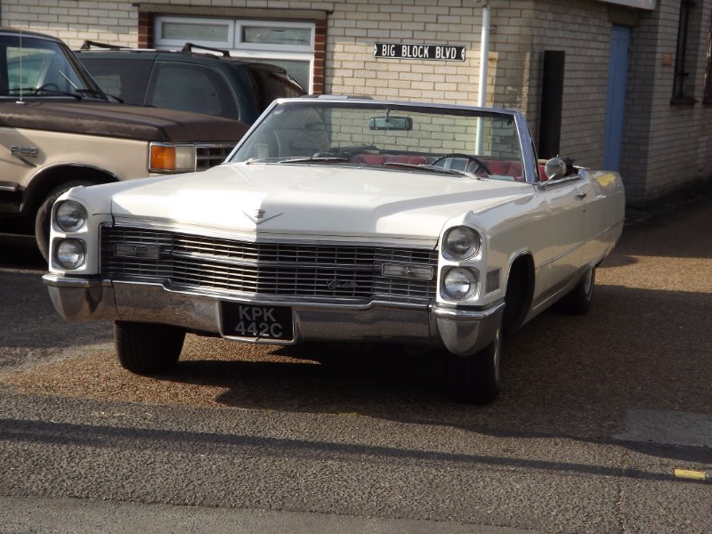 DSCF5021.JPG