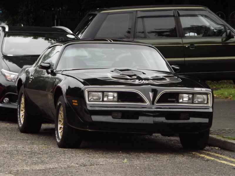 DSCF5534.JPG