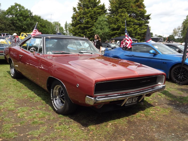 DSCF6584.JPG